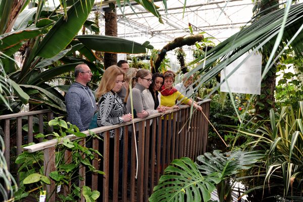 Jardin Botanique / serres